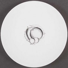 BLACK FRUIT by Wedgwood Salad Plate