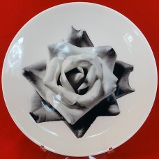 Wedgwood Bloomers Night & Day White Rose  8" 