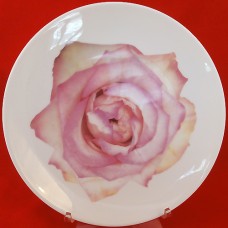 Wedgwood Bloomers Pink & Cream Rose salad plate 8" 