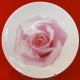 Wedgwood Bloomers Pink Rose salad plate 8" 