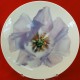 Wedgwood Bloomers Purple Lisianthus salad plate 8" 