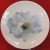 Wedgwood Bloomers White Lisianthus salad plate 8" 