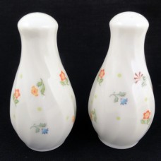 Wedgwood Cascade Salt & Pepper set