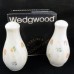 Wedgwood Cascade Salt & Pepper set