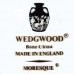 MORESQUE by Wedgwood After Dinner Cup & Saucer