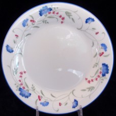 WINDERMERE by Royal Doulton Salad Plate 8" England