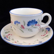 WINDERMERE by Royal Doulton Tea Cup & Saucer England