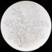 Woodside by Royal Tuscan Dinner Plate 10.25"