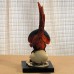 Armani Parrot 1399S 6.5" tall