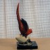 Armani Parrot 1399S 6.5" tall