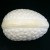 Belleek Egg Lustre Ware 5" long