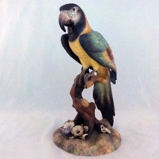 Royal Crown Derby Macaw XXXV 10 inches tall