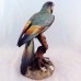 Royal Crown Derby Macaw XXXV 10 inches tall