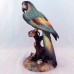 Royal Crown Derby Macaw XXXV 10 inches tall