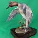 Royal Worcester Green Winged Teal RW3836 