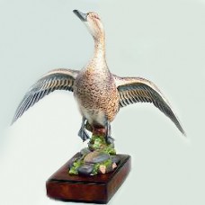 Royal Worcester Pintail Female Drake RW3834 Royal Worcester Pintail Female Drake RW3834