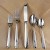GORHAM Stainless FROSTED ASPEN Dinner Knife 9.2" NEW