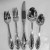 ROYAL LACE by Oneida Silver Plate 66 Piece Set