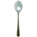 SPLENDIDE Park Lane GOLD Sugar Shell Spoon 6"