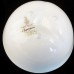 IMPRESSIONS Royal Doulton Camellia Bowl Grey 6" 