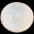 IMPRESSIONS Royal Doulton Camellia Bowl Peach 8.75"  