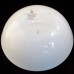IMPRESSIONS Royal Doulton Camellia Bowl Peach 8.75"  