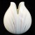 IMPRESSIONS Royal Doulton Tulip Vase Pink 6.75" 