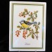 Tettau Bird Wall Plaques 9.5" long Set of 6 Germany