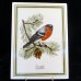 Tettau Bird Wall Plaques 9.5" long Set of 6 Germany