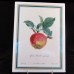 Tettau Fruit Wall Plaques 9.5" long Set of 6 Germany