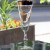 Alexandria Gold by Tiffin Flute Champagne 8.4" tall
