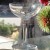 Baccarat Genova Saucer Champagne 5" tall