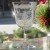 Baccarat Lafayette Wine #3 5.25" tall