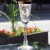 DIJON by Tiffin Flute Champagne 8.6" tall