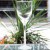 Kosta Boda LINE BLUE Goblet 9" tall Sweden NEW
