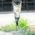 STUART CASCADE Flute Champagne 8.25" tall NEW