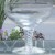 STUART SONATA Saucer Champagne 5.25" tall NEW